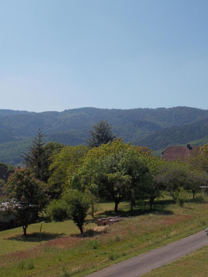 Maison De Vacances "Le Longchamp" Villa Osenbach Buitenkant foto